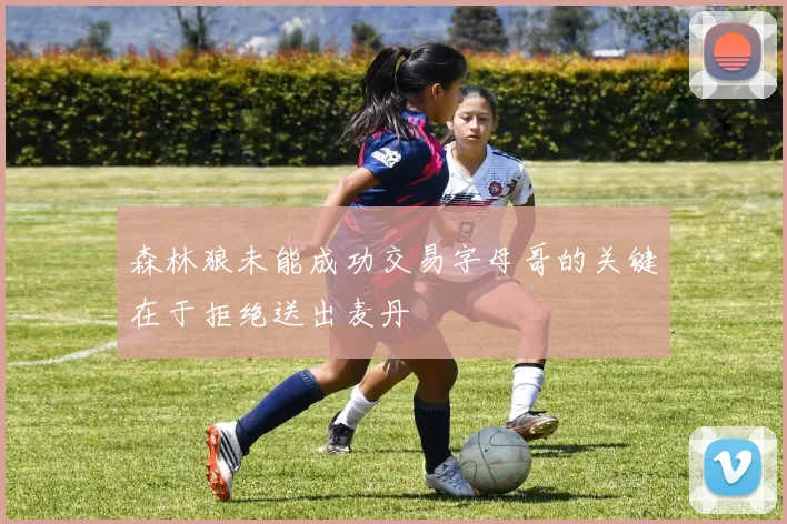森林狼未能成功交易字母哥的关键在于拒绝送出麦丹